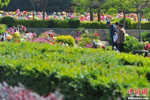 资料图：来扫墓的民众为亲友献上鲜花。任东 摄