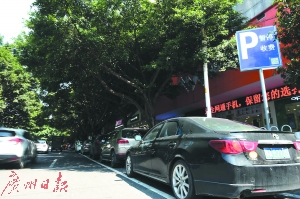 天河南一路的原咪表停车位停满了车。广州日报全媒体记者王燕 摄
