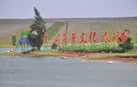 “菠萝的海”上物尽其用，水塔变成卡通图风景图 张再漾 摄