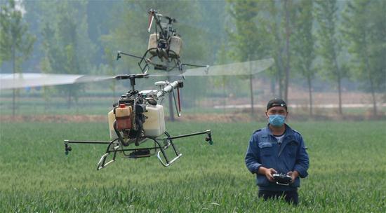 小麦飞防惠农民 一喷三防作业助力困难群众夏
