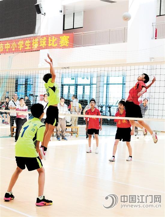 台山市小学生排球赛很有看头。