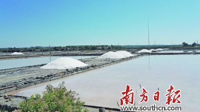 全国首个生态原产地食盐生产基地落户雷州半岛。
