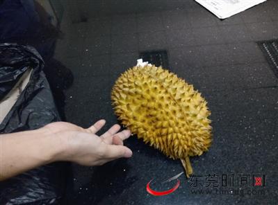 天上掉下榴莲壳 老人前额被砸出8处伤口