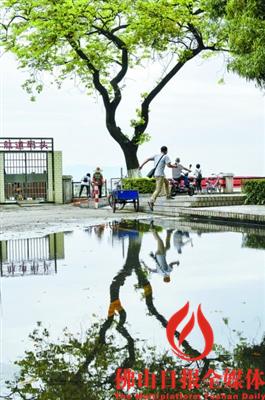 昨日上午,经历前一晚的暴雨后,荷城公园路上的积水仍未退去。/佛山日报记者黎汉沿摄