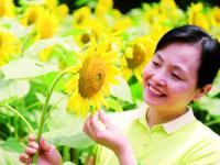 昨日,在流溪河国家森林公园,一名游客在盛开的向日葵花前留影。