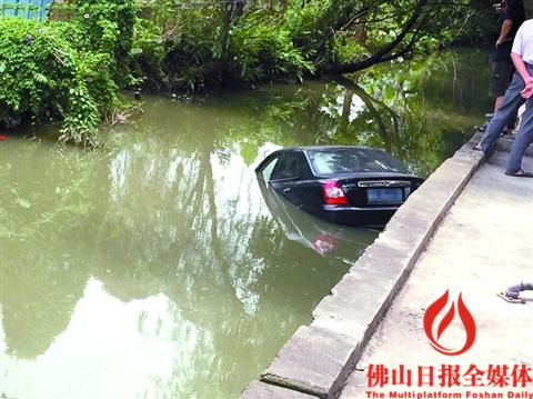 昨日，南海茶基新村江头村路，一辆黑色小车不慎冲进河涌。