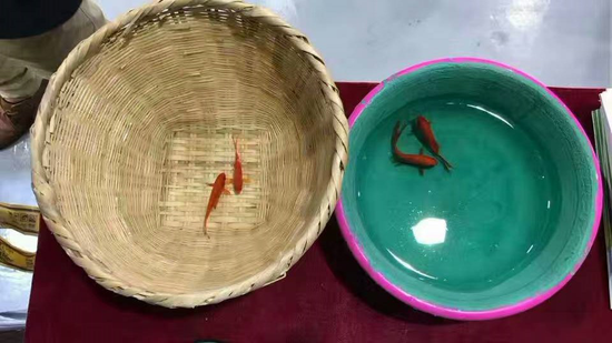 牛博士品牌创始人:打造建材辅材一站式采购平