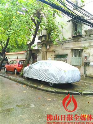 在圣堂后街一小区的树底下,车辆披上车衣以防“滴油”。 /佛山日报记者郑泽聪摄