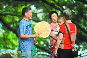 昨日，东湖公园，老人为孩子扇风纳凉。广州日报全媒体记者骆昌威 摄