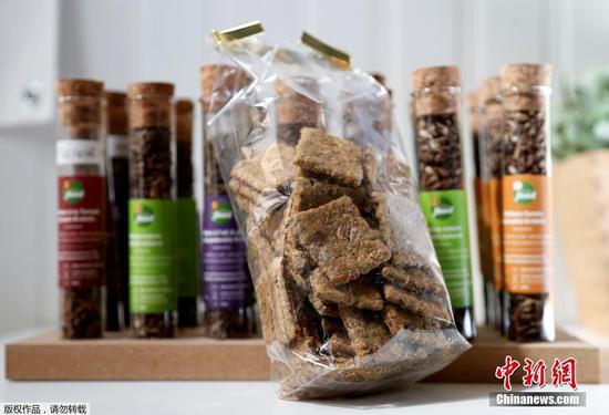 6月12日消息，比利时布鲁塞尔的一家小食品公司开发了一种新型饼干，这种饼干由蟋蟀制成。该公司在自己所有的农场里定期培育蟋蟀，为饼干提供所需的原料来源。