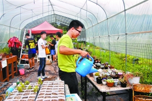 大学生给植物浇水。