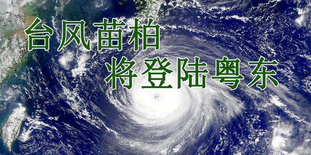 2017首个影响台风苗柏登陆深圳大鹏半岛