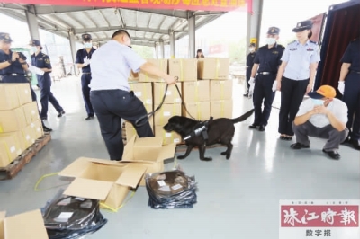 海关请求缉毒警察带领缉毒犬对货物进行全面排查。