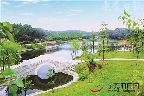 塘厦、石碣、莞城、东坑、企石等多个镇街围绕文明创建标准要求,开展专项整治行动 本报记者 李健武 摄