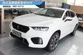 自主豪华SUV