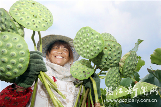 莲子丰获，今年的收入即将得到改善，那毛角村民黄永娇手捧着大把莲蓬喜笑颜开