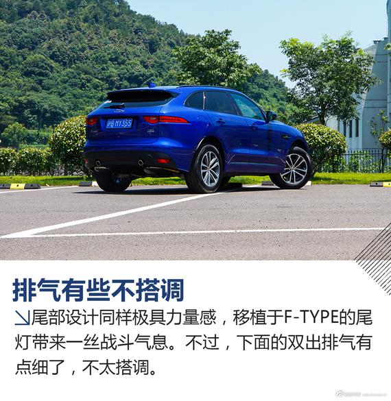 更多图片