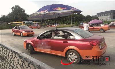 东莞南城一驾校训练场,教练车车顶装着遮阳伞供学员练车 东莞时报资料图 记者 陈栋 摄