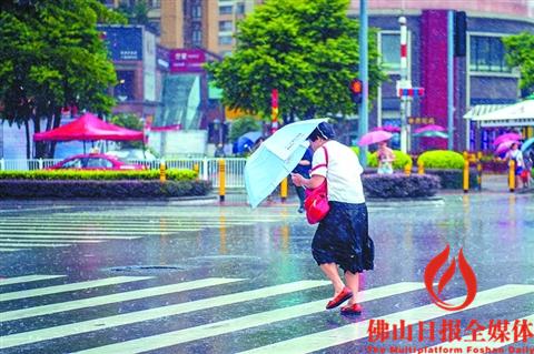 昨日,一市民在禅城区普君北路上撑伞通行时突遇大风。/佛山日报记者王澍实习生林安迪摄