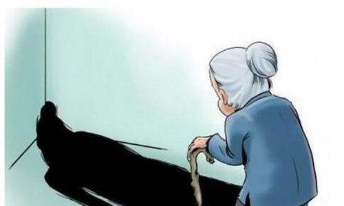 资料图片来源网络