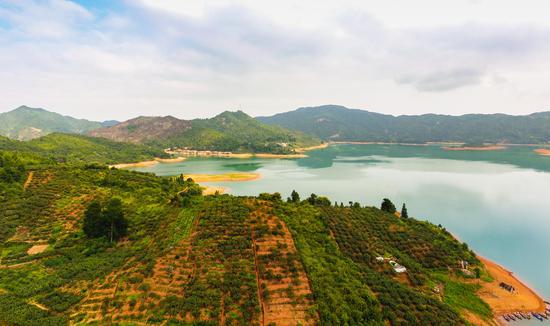潭岭水晶梨基地