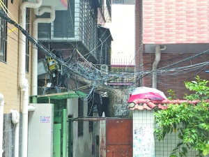 从园岭山庄院内延伸出多条电线,接入自建房。