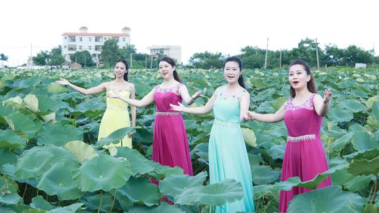 湛江又推出一首动听的新村歌 大屋头村莲香藕