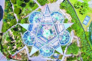 华南植物园 广州日报全媒体记者苏俊杰摄