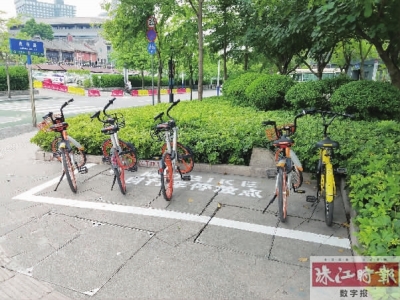 位于良缘路的一处共享单车停放点。