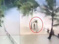 台风天鸽珠海情侣路监控视频:狂风呼啸 男子淡定推车