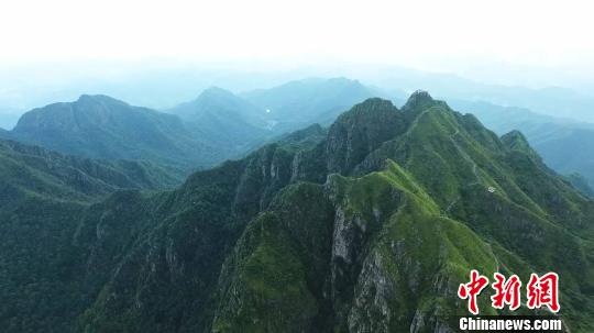 广东阴那山森林公园位于梅州市大埔县境内 程景伟 摄