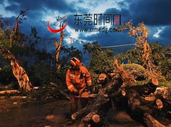 东莞消防官兵清理珠海大道上的路障，并且送水给珠海市民 图/全媒体记者 郑俊彦 通讯员 李焱 摄