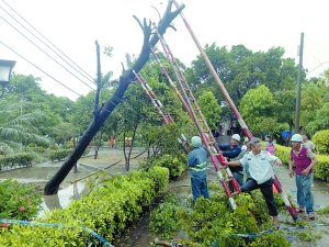 8月27日，顺德杏坛逢简村一处树木压住低压线路，供电部门与村委人员合力进行现场清障处理。广州日报全媒体记者陈昕宇摄