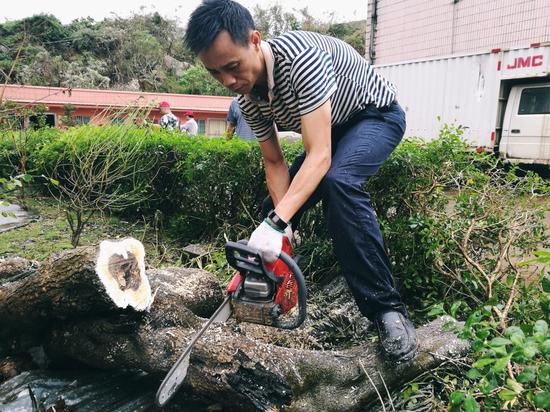 珠海市高栏港区开展台风后为期15天市容环境