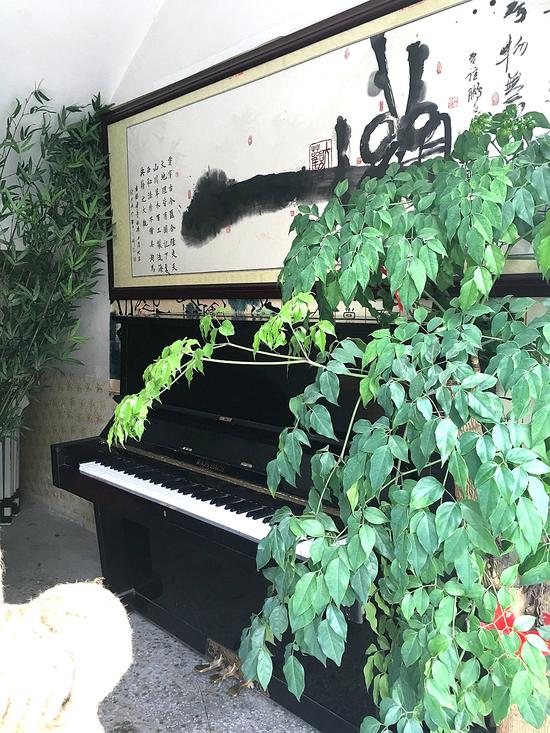 东莞书画培训机构推荐 主讲教师都具有丰富教