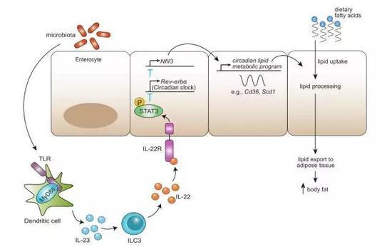 北大6人获奖全国第一！