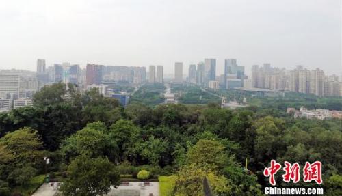 资料图:广东佛山一公园。程景伟 摄
