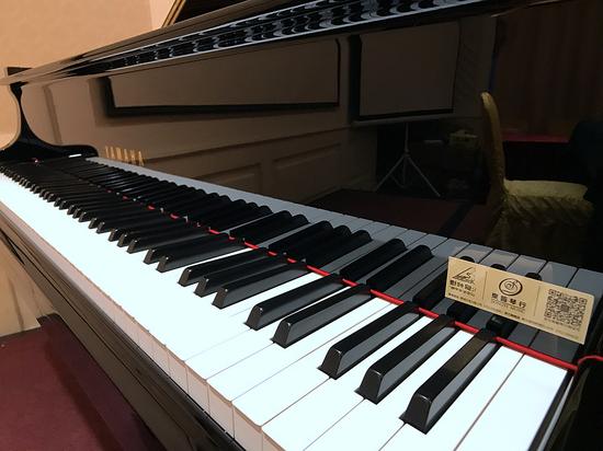 Ditomano教学课程登陆惠州 提升钢琴教师教学