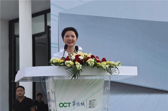 华侨城盒子美术馆艺术总监周力