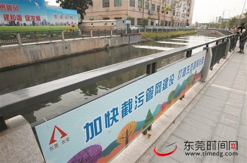 ■长安人民涌水质明显改善（记者 杨泽彬 摄）