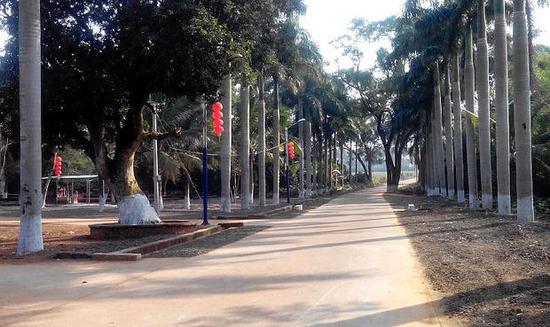 雷州市龙门镇朝升村 一条具有两百多年历史的