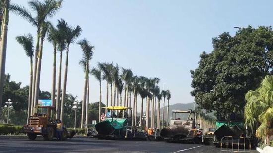 银桦路