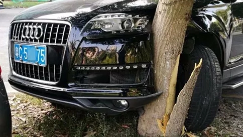 珠海一女司机开进口奥迪接送小孩时险些冲进幼