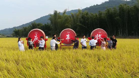 艾米会创始人、艾米会其他股东、广东省农科院水稻研究所所长黄庆等人为庆祝丰收击鼓