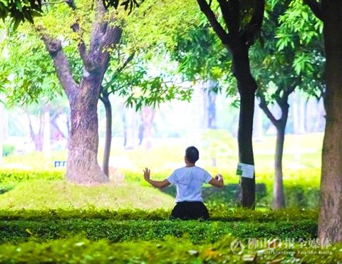 昨日傍晚,顺德区乐从镇文化公园内,一名男子穿着短袖打太极拳。/佛山日报记者周春摄