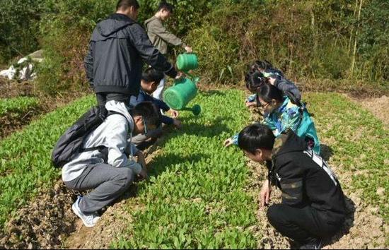 大学花样考试走红网络:要拿毕业证先跑10个马