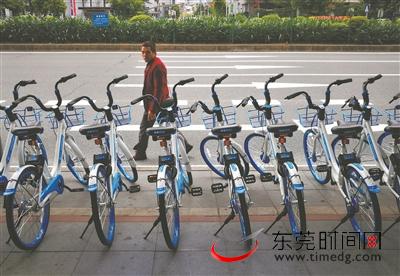 南城三元路,共享单车整齐停放在路旁 记者 陈帆 摄