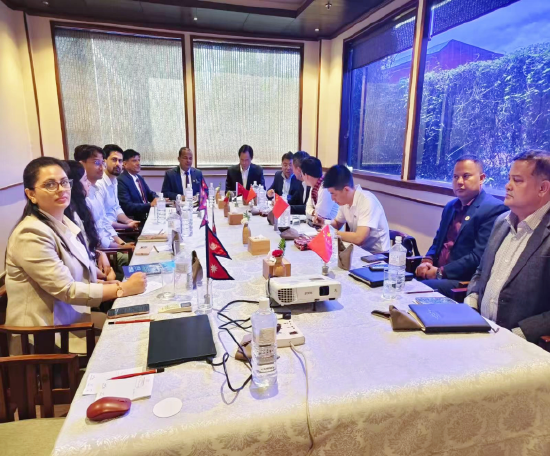广药集团与奥姆梅加希里制药私人有限公司交流现场