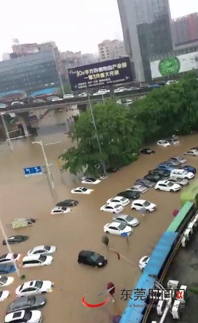 寮步遭遇水浸街 网友供图