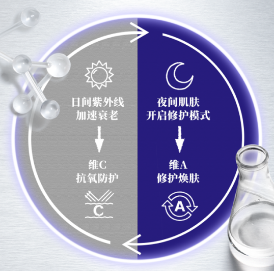 ▲‘早C晚A’科学原理